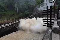 暴雨傾城，水控人冒雨排澇保暢通，守土盡責保供水安全！