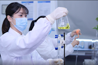 巾幗不讓須眉，她們獲省級巾幗文明崗榮譽(yù)